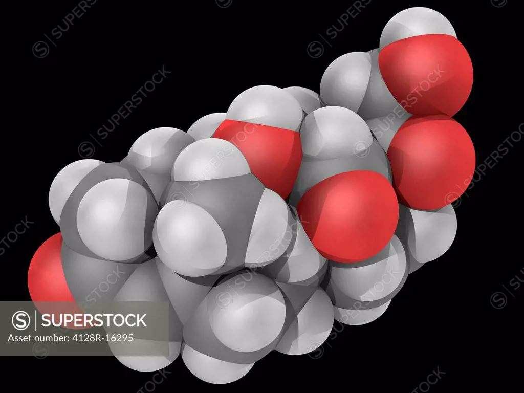 Aldosterone, molecular model. Steroid hormone produced by the adrenal gland. Atoms are represented as spheres and are colour_coded: carbon grey, hydro...