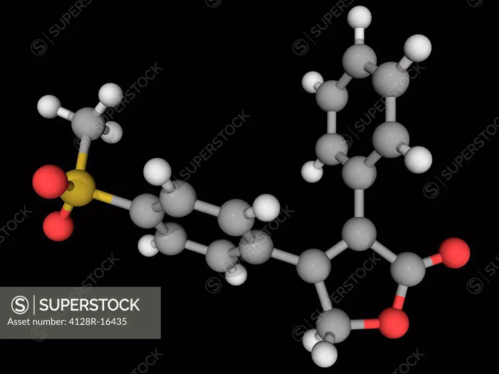Rofecoxib, molecular model. Nonsteroidal anti_inflammatory drug withdrawn over safety concerns. Atoms are represented as spheres and are colour_coded:...