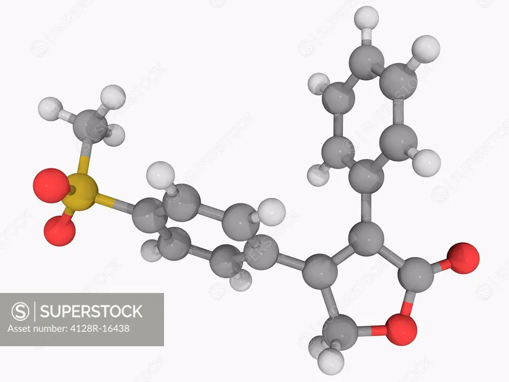 Rofecoxib, molecular model. Nonsteroidal anti_inflammatory drug withdrawn over safety concerns. Atoms are represented as spheres and are colour_coded:...