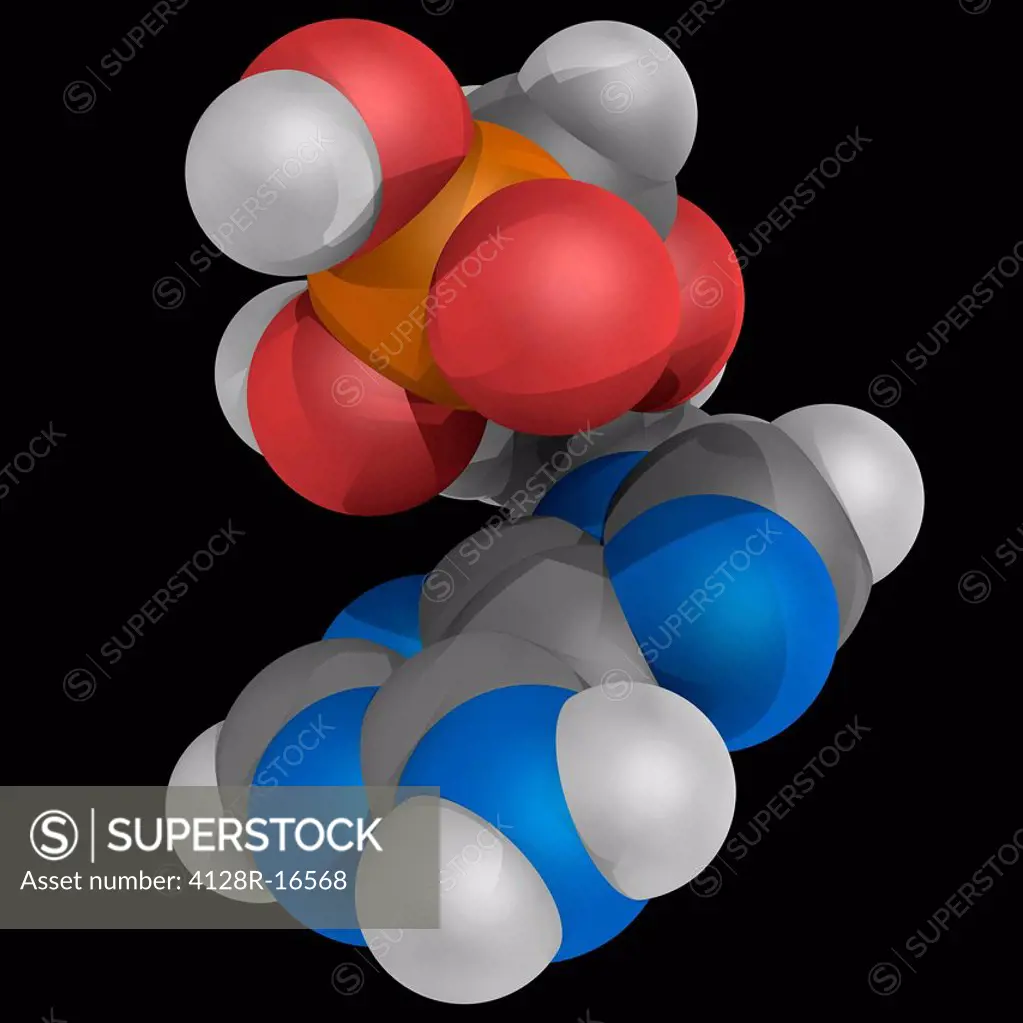 Tenofovir, molecular model. Nucleotide analogue reverse transcriptase inhibitor used to treat HIV. Atoms are represented as spheres and are colour_cod...