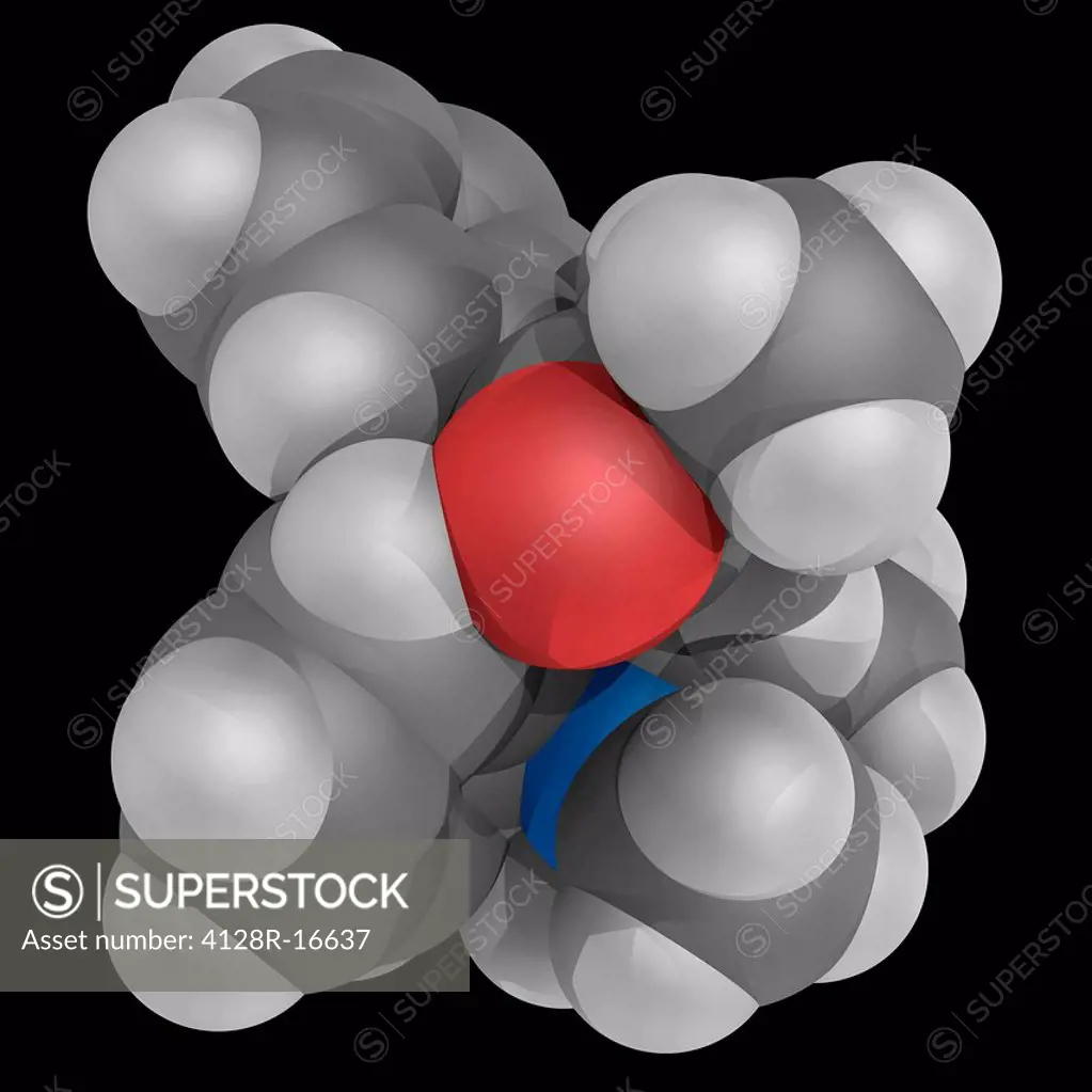 Methadone, molecular model. Synthetic opioid used as an analgesic and a maintenance anti_addictive for use in patients with opioid dependency. Atoms a...