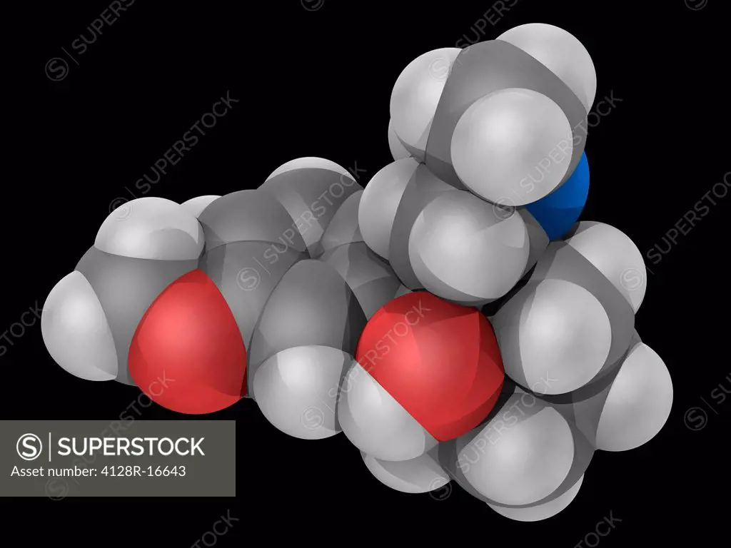 Tramadol, molecular model. Centrally acting synthetic opioid analgesic used in treating severe pain. Atoms are represented as spheres and are colour_c...