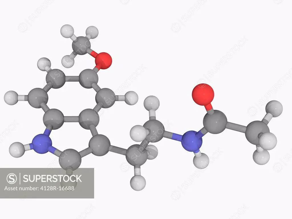 Melatonin, molecular model. Naturally occurring compound found in animals, plants and microbes. Atoms are represented as spheres and are colour_coded:...