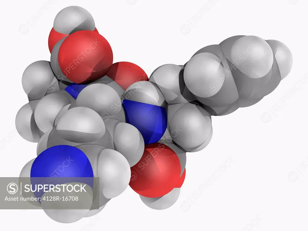Lisinopril, molecular model. Drug of the angiotensin_converting enzyme ACE inhibitor class used to treat hypertension, congestive heart failure and he...