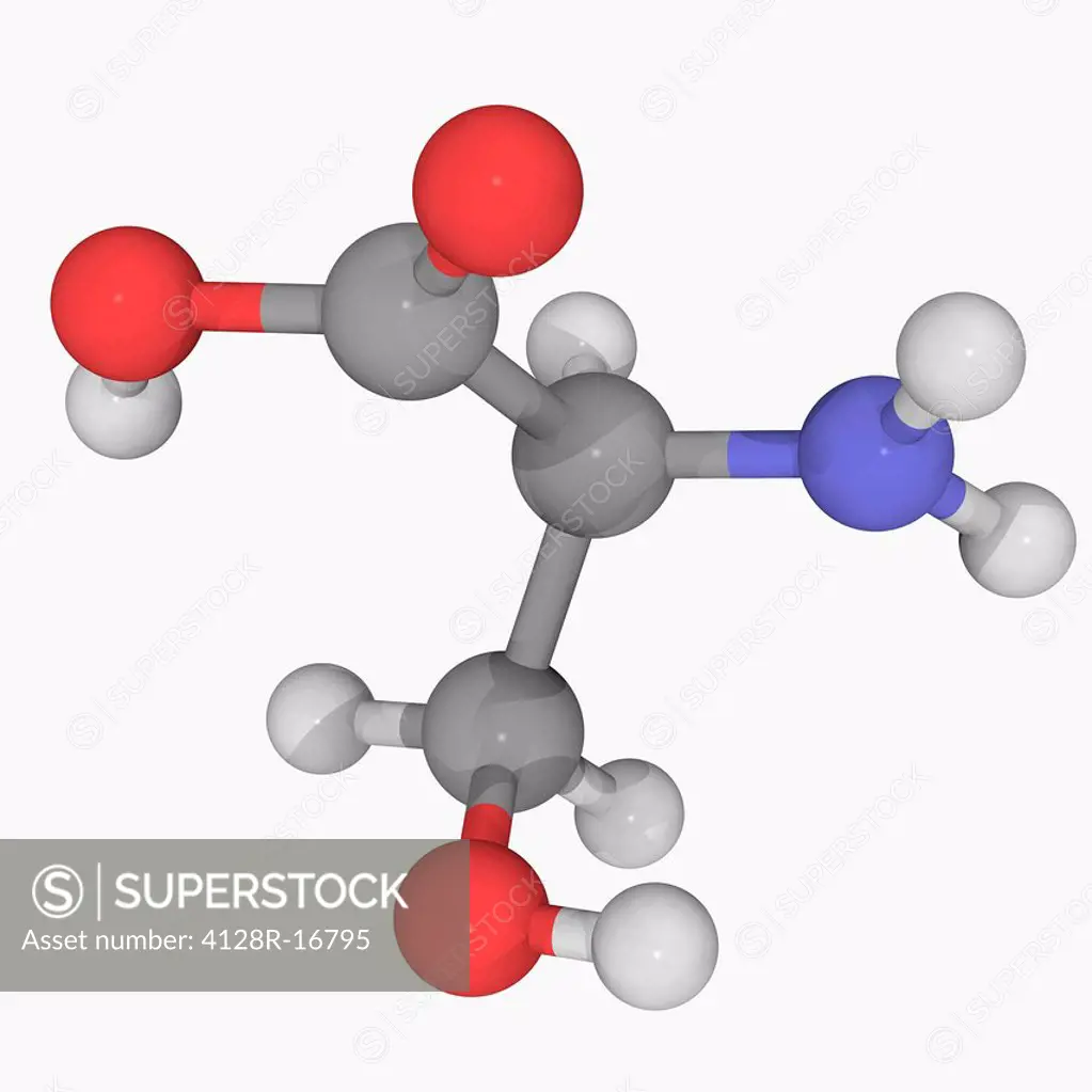 Serine, molecular model. Non_essential proteinogenic amino acid. Atoms are represented as spheres and are colour_coded: carbon grey, hydrogen white, n...