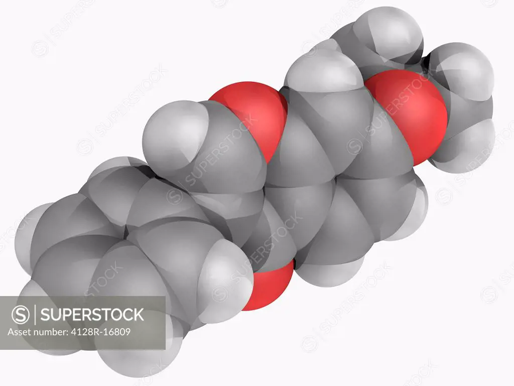 Ipriflavone, molecular model. Synthetic isoflavone which may be used to inhibit bone resorption, maintain bone density and for prevention of osteoporo...