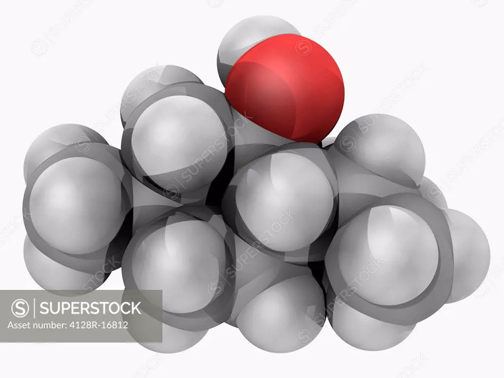 Menthol, molecular model. Organic compound produced synthetically or obtained from peppermint oil or other mint oils. Atoms are represented as spheres...