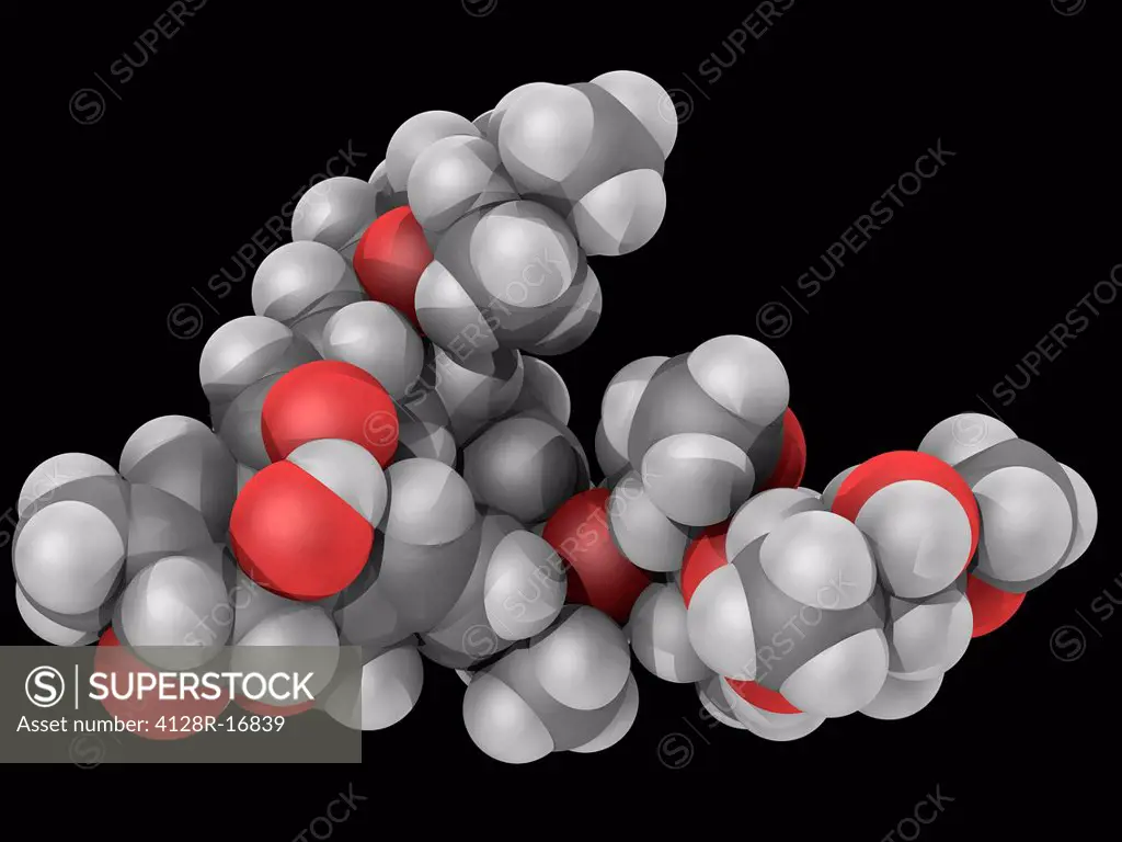 Ivermectin, molecular model. Drug used as a broad_spectrum antiparasitic agent. Atoms are represented as spheres and are colour_coded: carbon grey, hy...