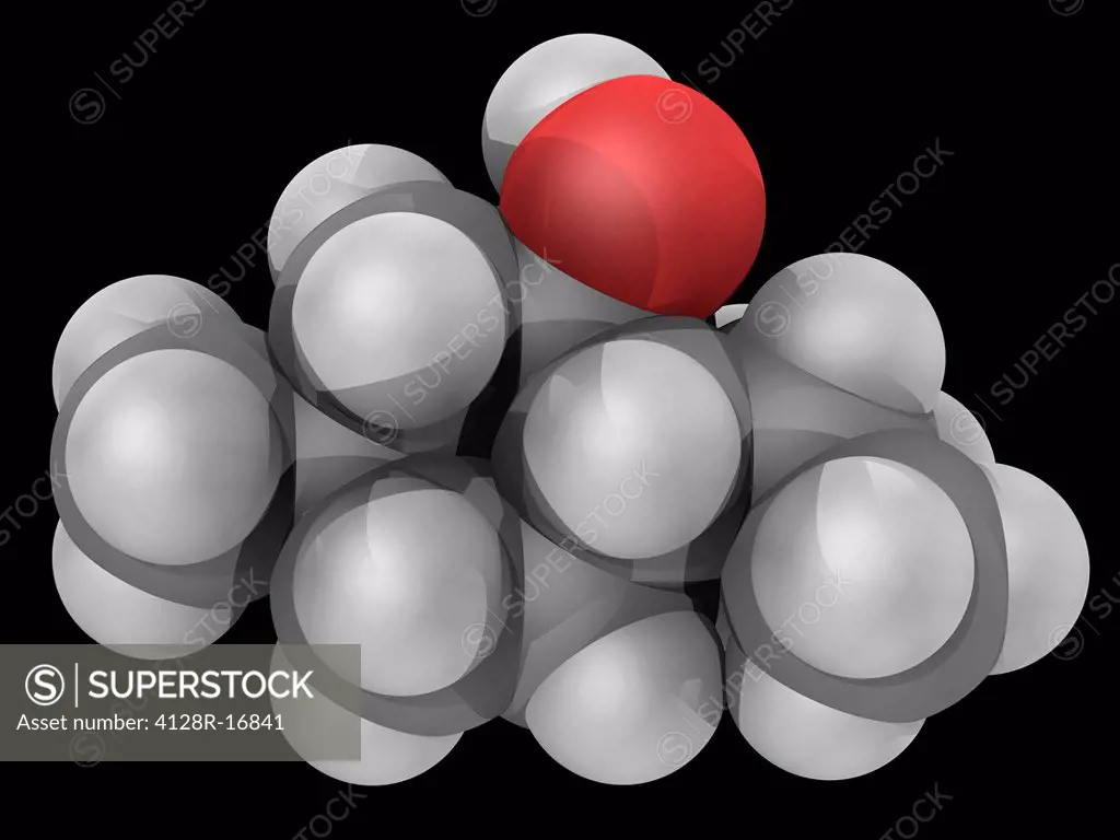 Menthol, molecular model. Organic compound produced synthetically or obtained from peppermint oil or other mint oils. Atoms are represented as spheres...