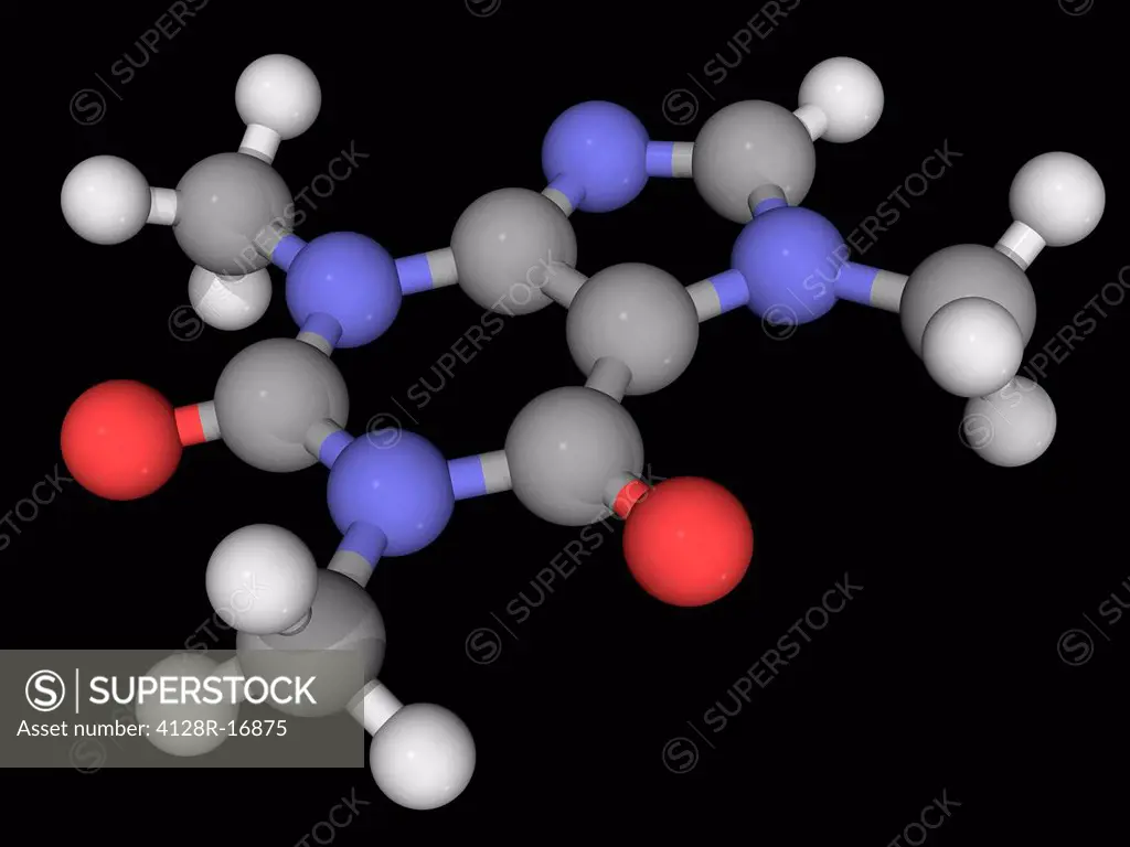 Caffeine, molecular model. Bitter, white alkaloid acting as a stimulant drug to the central nervous system. Atoms are represented as spheres and are c...