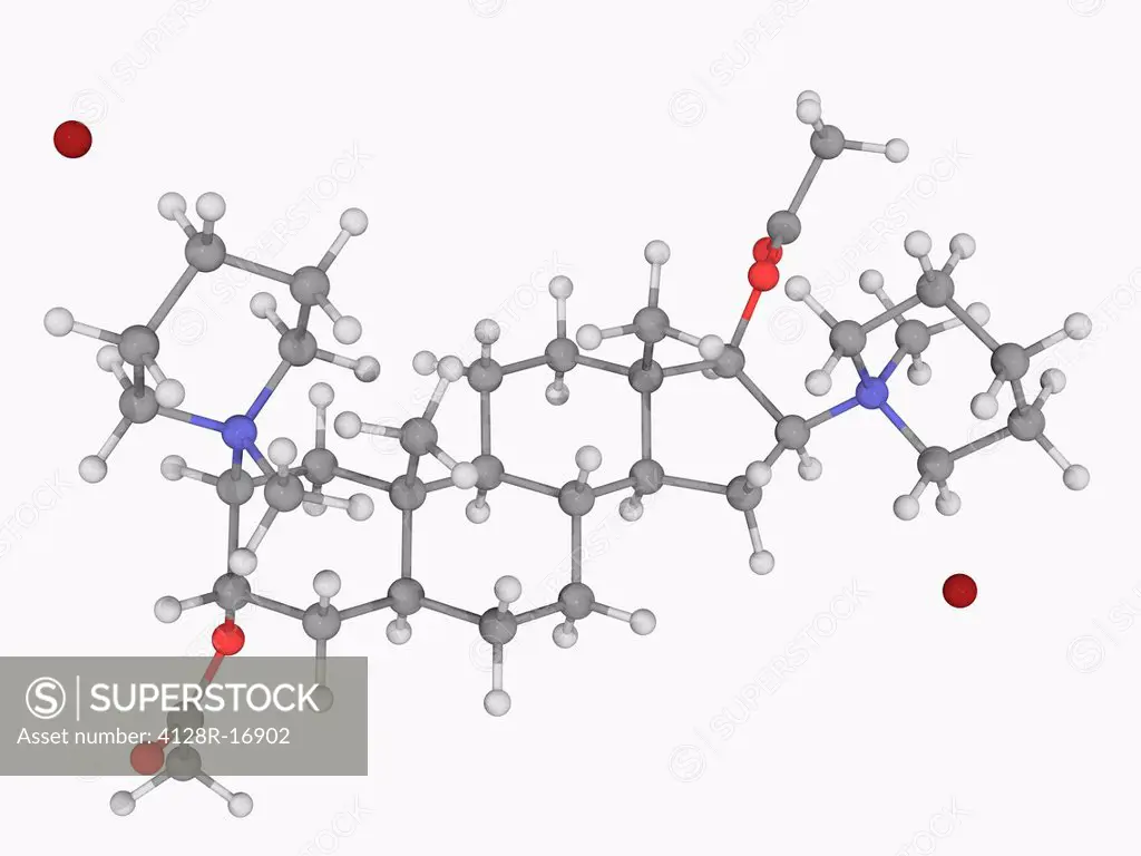 Pancuronium bromide, molecular model. Muscle relaxant drug and the second of three drugs administered during lethal injections in the USA. Atoms are r...