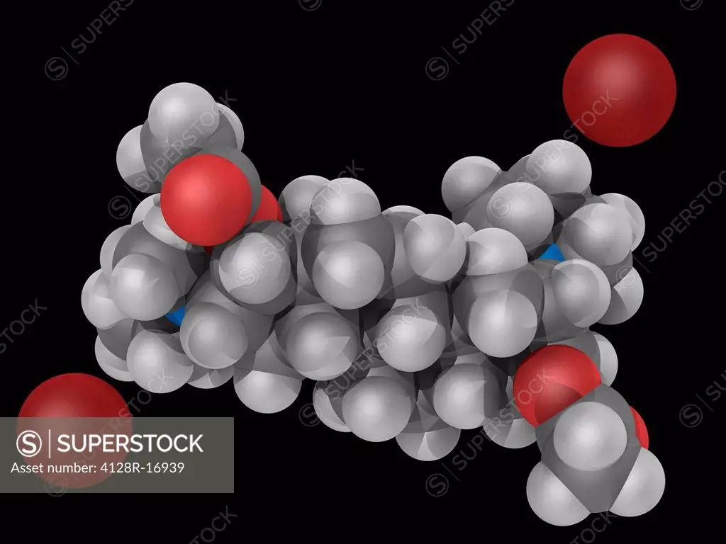 Pancuronium bromide, molecular model. Muscle relaxant drug and the second of three drugs administered during lethal injections in the USA. Atoms are r...