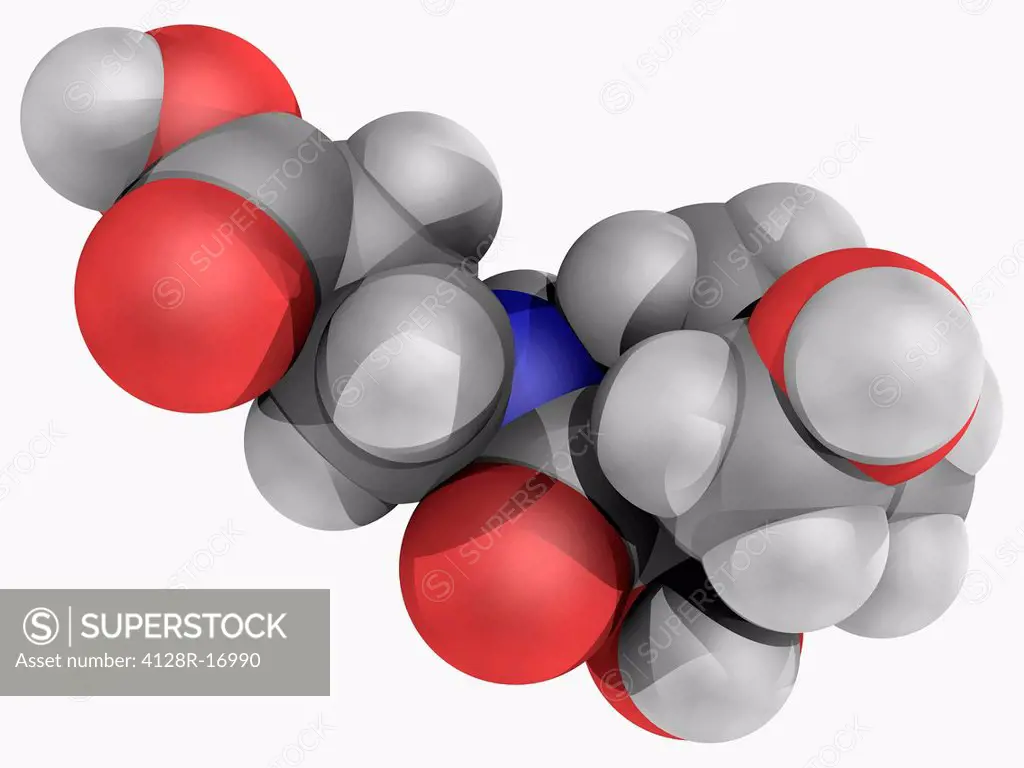 Vitamin B5 pantothenic acid, molecular model. Vitamin required for synthesizing coenzyme_A. Atoms are represented as spheres and are colour_coded: car...