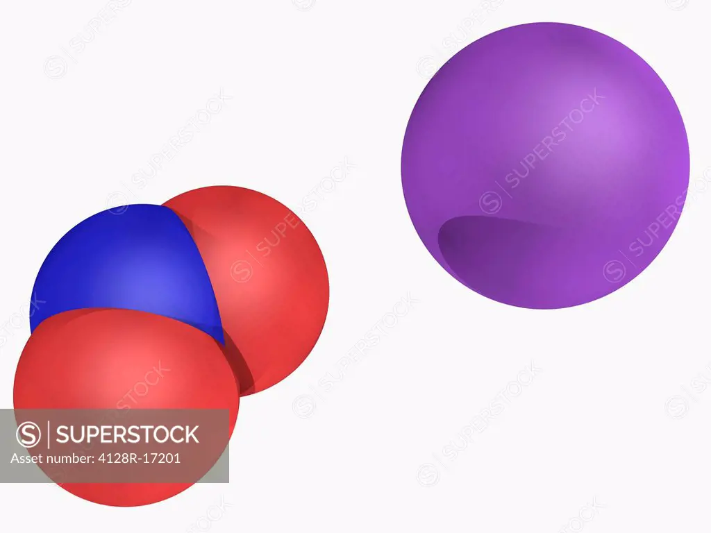 Sodium nitrite, molecular model. Inorganic compound used in the industrial production of organonitrogen compounds. Atoms are represented as spheres an...