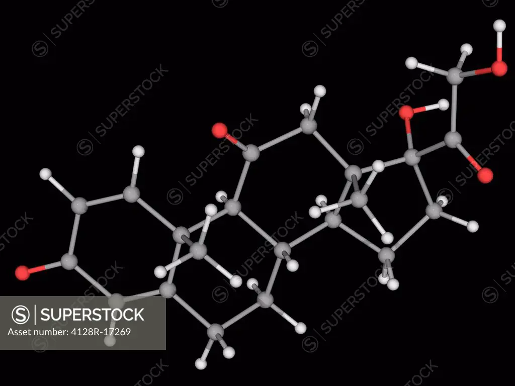 Prednisone, molecular model. Glutocorticoid prodrug used to treat many different diseases from allergies to cancer. Atoms are represented as spheres a...