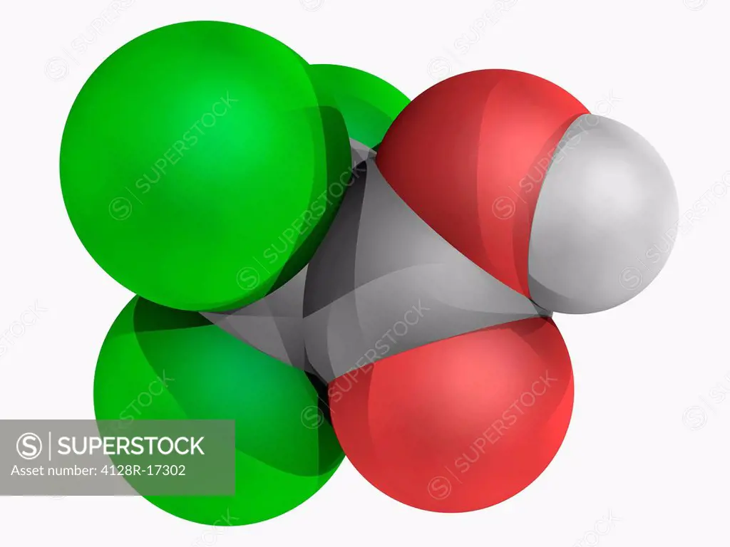 Trichloroacetic acid, molecular model. Chemical compound widely used in biochemistry for the precipitation of macromolecules. Atoms are represented as...