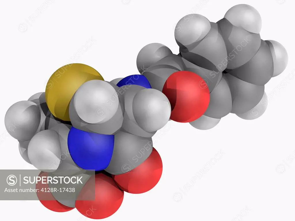 Penicillin G, molecular model. Beta_lactam antibiotic used in the treatment of bacterial infections. Atoms are represented as spheres and are colour_c...