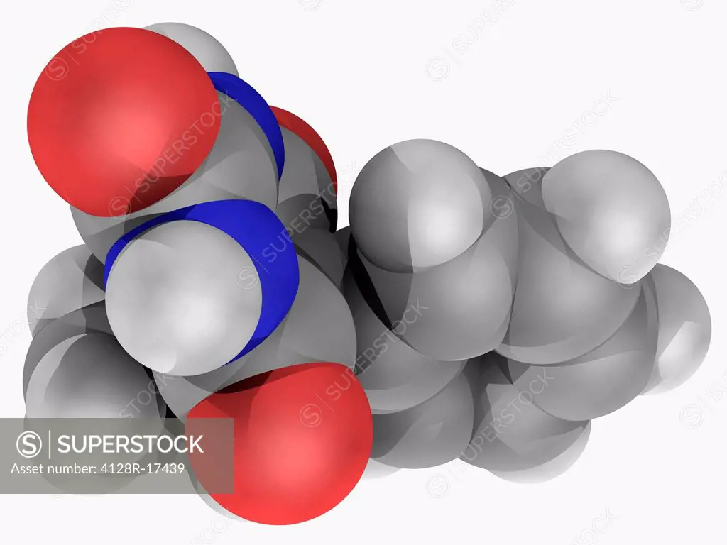 Phenobarbital, molecular model. Barbiturate used to treat all types of seizures except absence seizures. Atoms are represented as spheres and are colo...