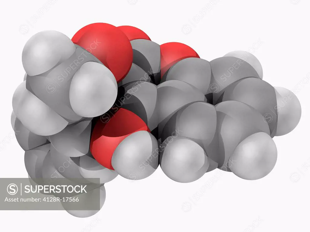 Warfarin, molecular model. Drug used as an anticoagulant. Atoms are represented as spheres and are colour_coded: carbon grey, hydrogen white and oxyge...