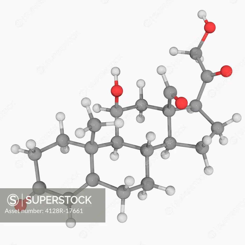 Hydrocortisone cortisol, molecular model. Steroid hormone produced by the adrenal gland. Atoms are represented as spheres and are colour_coded: carbon...