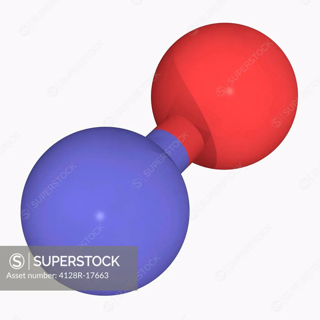 Nitrogen monoxide nitric oxide, molecular model. Free radical and an important intermediate in the chemical industry. Atoms are represented as spheres...