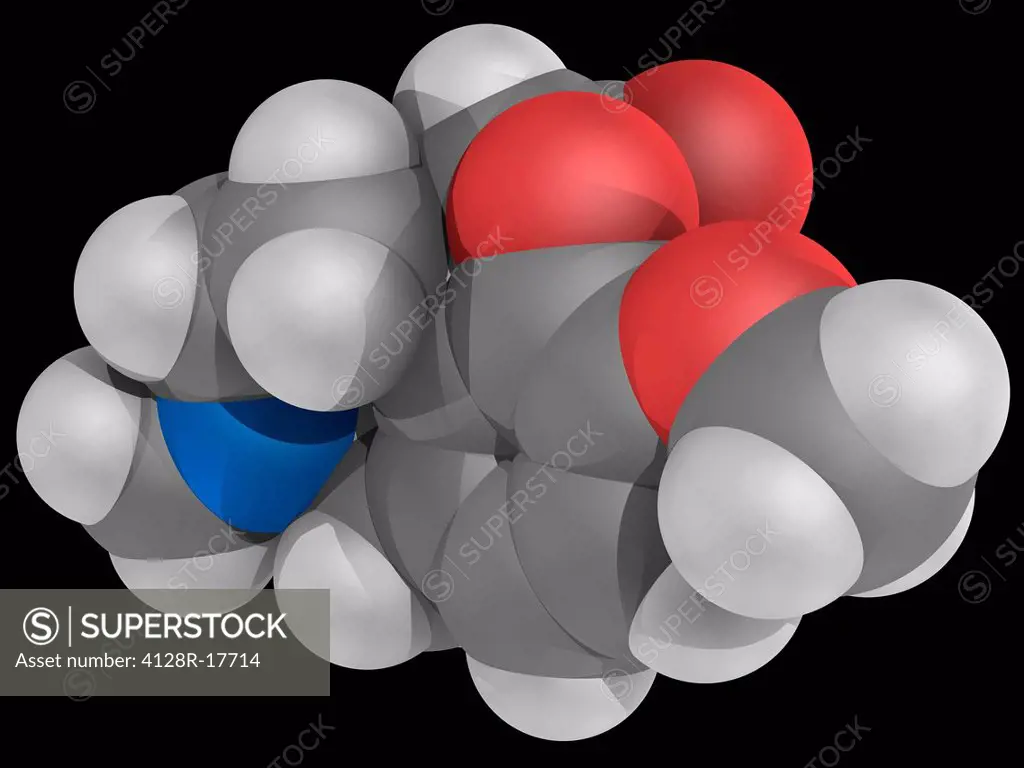 Hydrocodone, molecular model. Synthetic opioid derived from codeine and thebaine. Orally active narcotic analgesic and antitussive. Atoms are represen...
