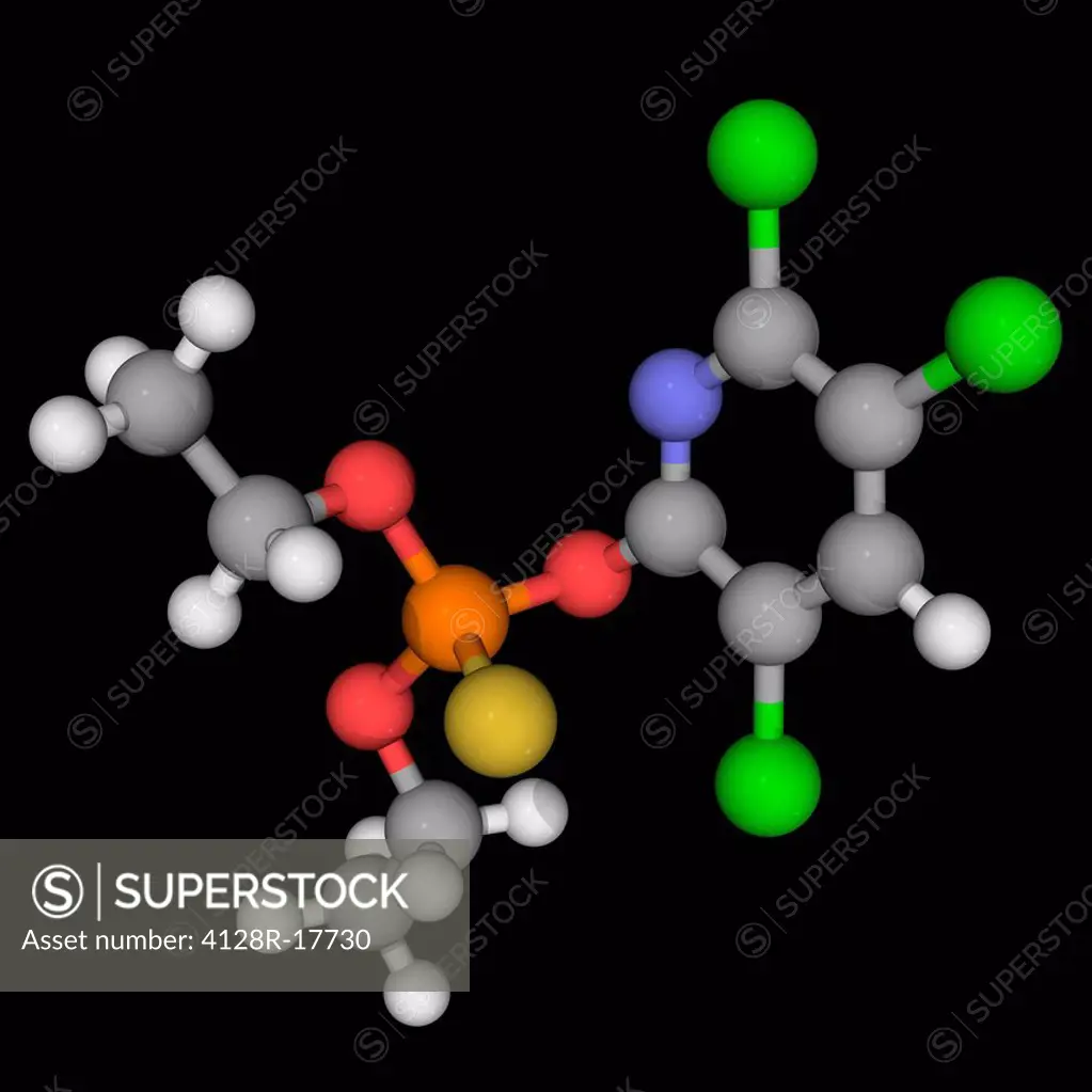 Chlorpyrifos, molecular model. Insecticide for agricultural use. Atoms are represented as spheres and are colour_coded: carbon grey, hydrogen white, n...
