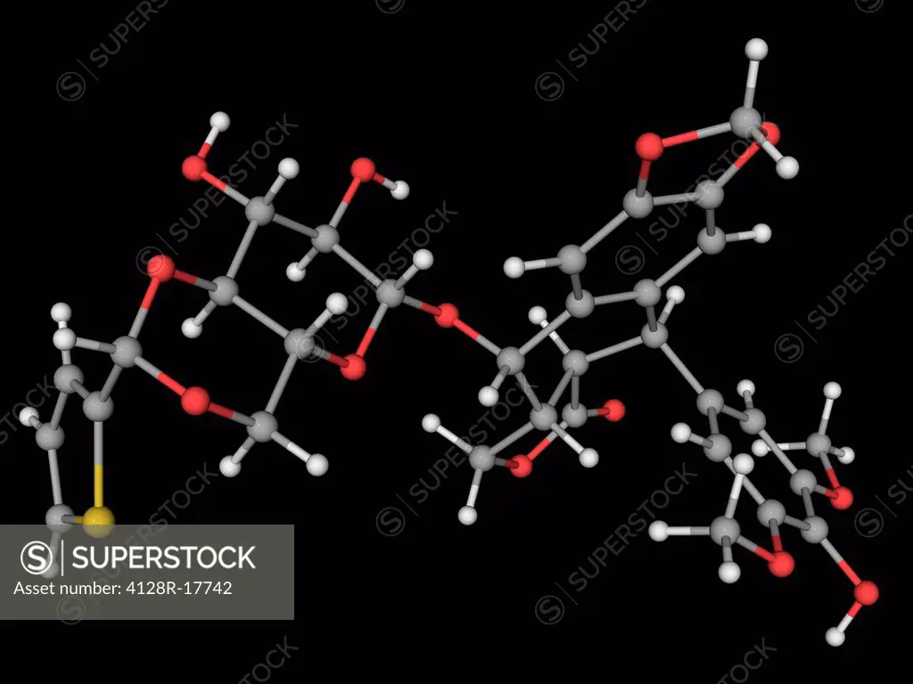 Teniposide, molecular model. Chemotherapeutical drug used in the treatment of childhood acute lymphocytic leukaemia. Atoms are represented as spheres ...