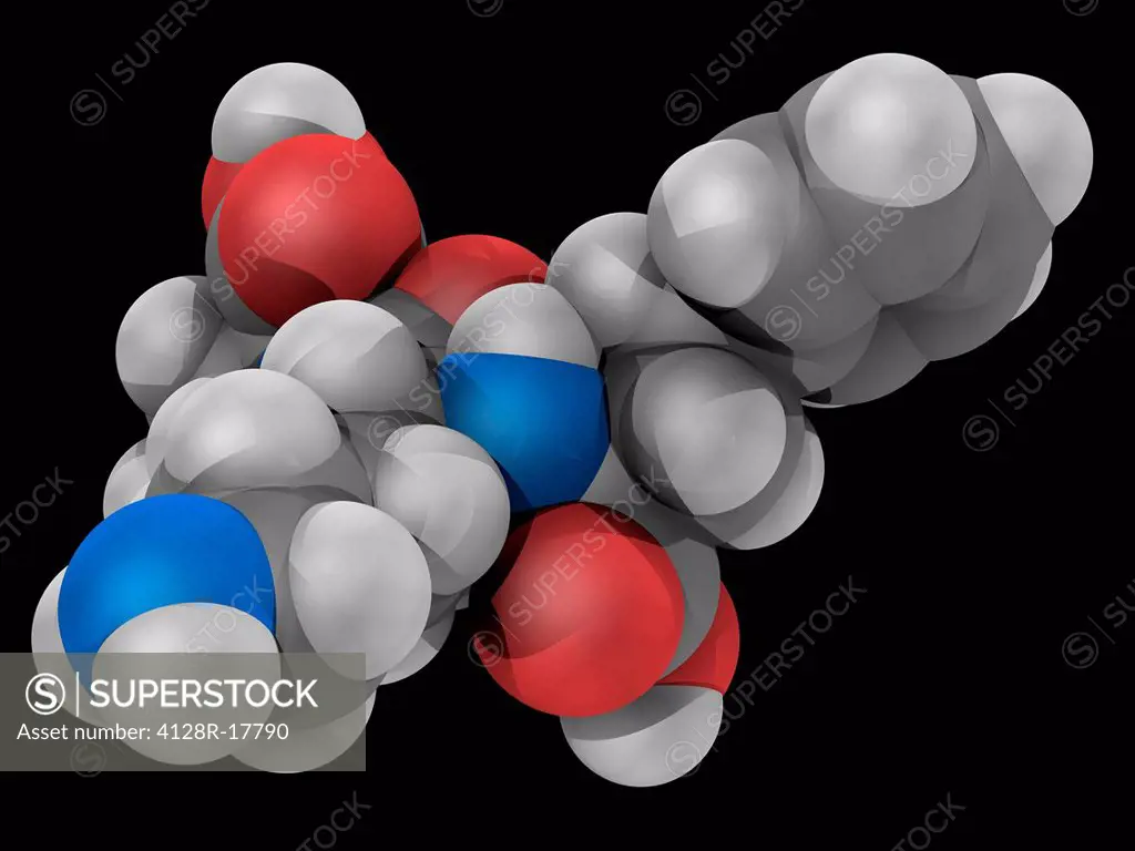 Lisinopril, molecular model. Drug of the angiotensin_converting enzyme ACE inhibitor class used to treat hypertension, congestive heart failure and he...