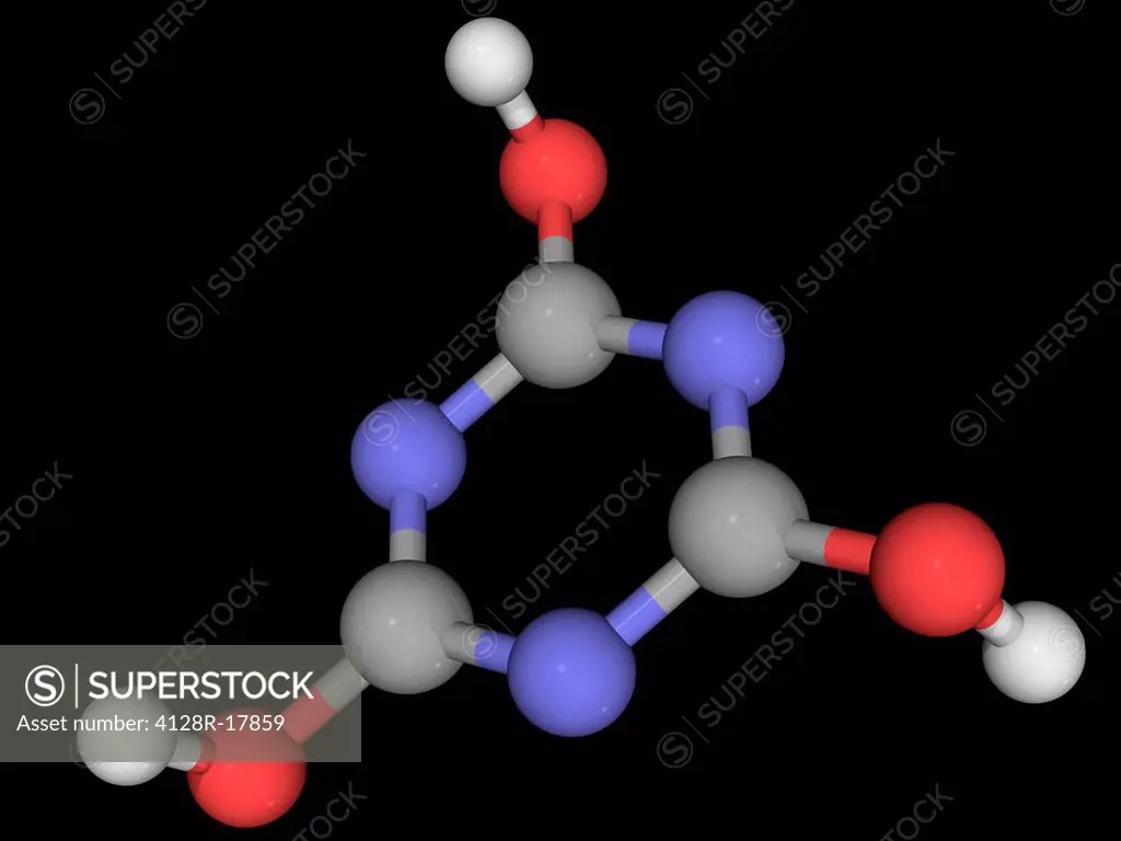 Cyanuric acid, molecular model. This organic compound is a precursor or component of bleaches, disinfectants and herbicides. Atoms are represented as ...