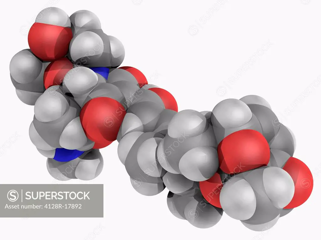 Streptolydigin, molecular model. Antibiotic acting by blocking nucleic acid chain elongation by binding to the polymerase and used to treat infections...
