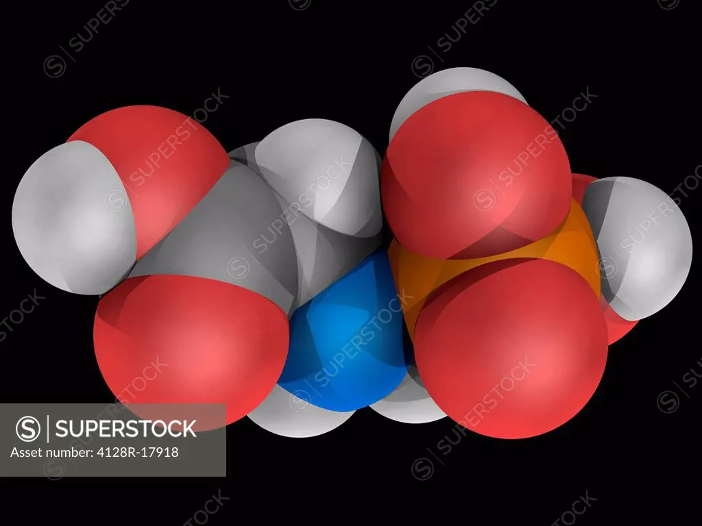 Glyphosate, molecular model. Broad_spectrum_herbicide used to kill weeds. Atoms are represented as spheres and are colour_coded: carbon grey, hydrogen...