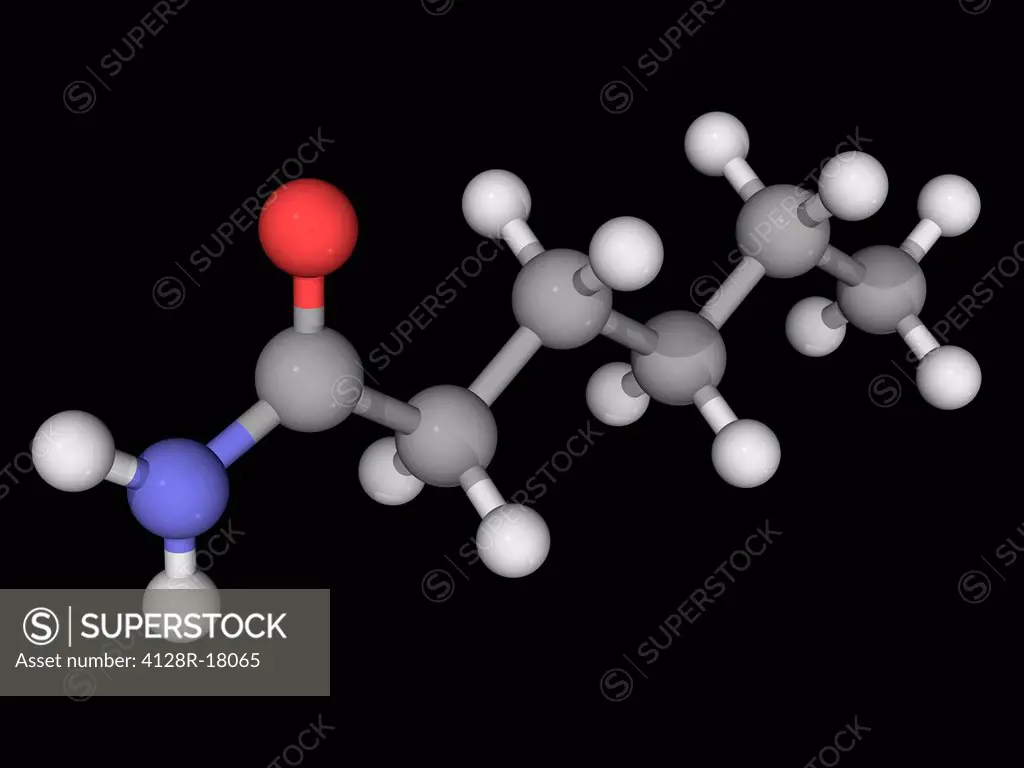 Hexanamide capronamide, molecular model. Organic compound, amide. Reacts with azo and diazo compounds to generate toxic gases. Atoms are represented a...