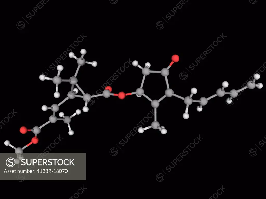 Pyrethrin II, molecular model. Potent insecticide produced from chrysanthemum plants. Atoms are represented as spheres and are colour_coded: carbon gr...