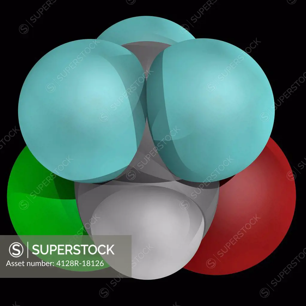 Halothane, molecular model. Inhalational general aesthetic. Atoms are represented as spheres and are colour_coded: carbon grey, hydrogen white, fluori...