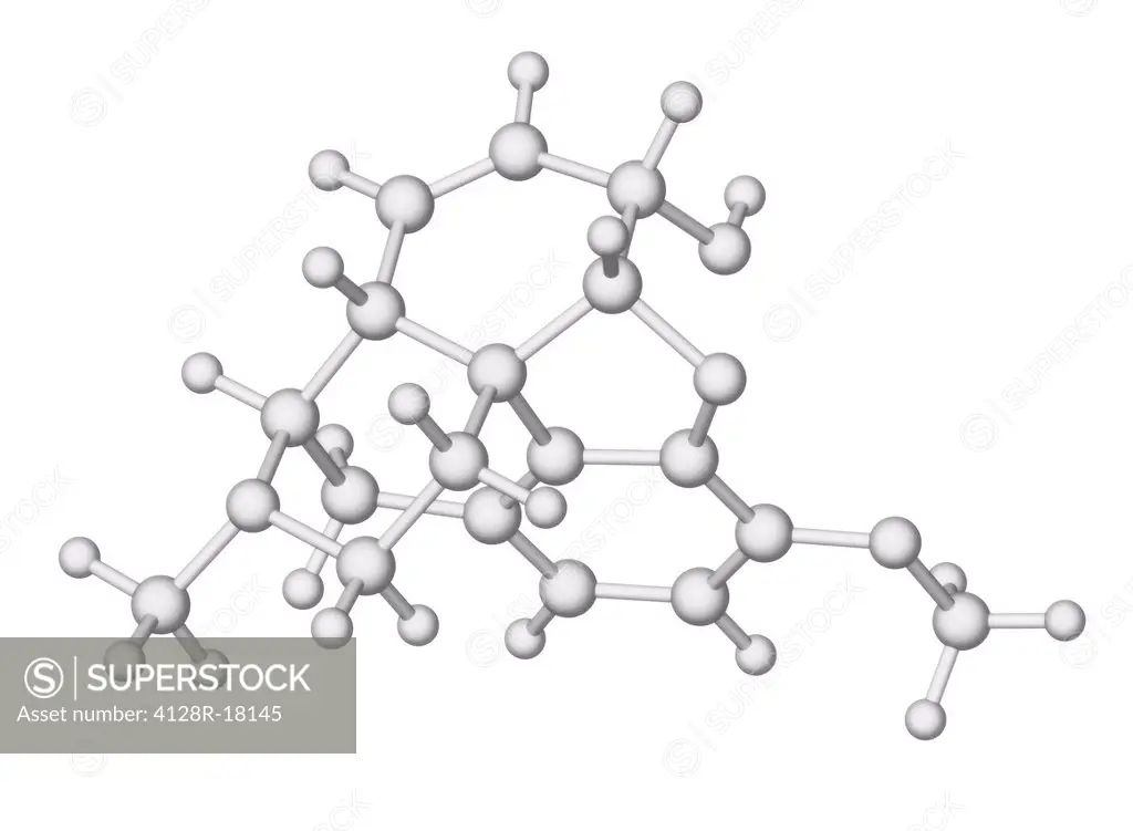 Codeine, molecular model.