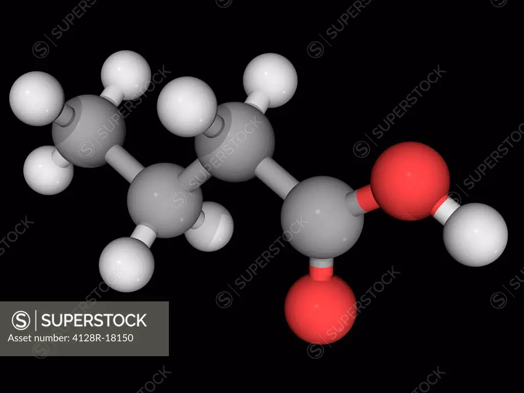 Butyric acid, molecular model. Fatty acid found in butter, Parmesan cheese and vomit. Atoms are represented as spheres and are colour_coded: carbon gr...