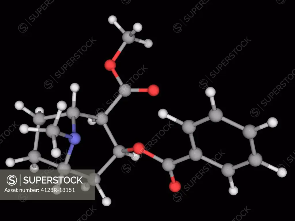 Cocaine, molecular model. Alkaloid obtained from coca plant leaves. Serotonin_norepinephrine_dopamine reuptake inhibitor, powerful nervous system stim...