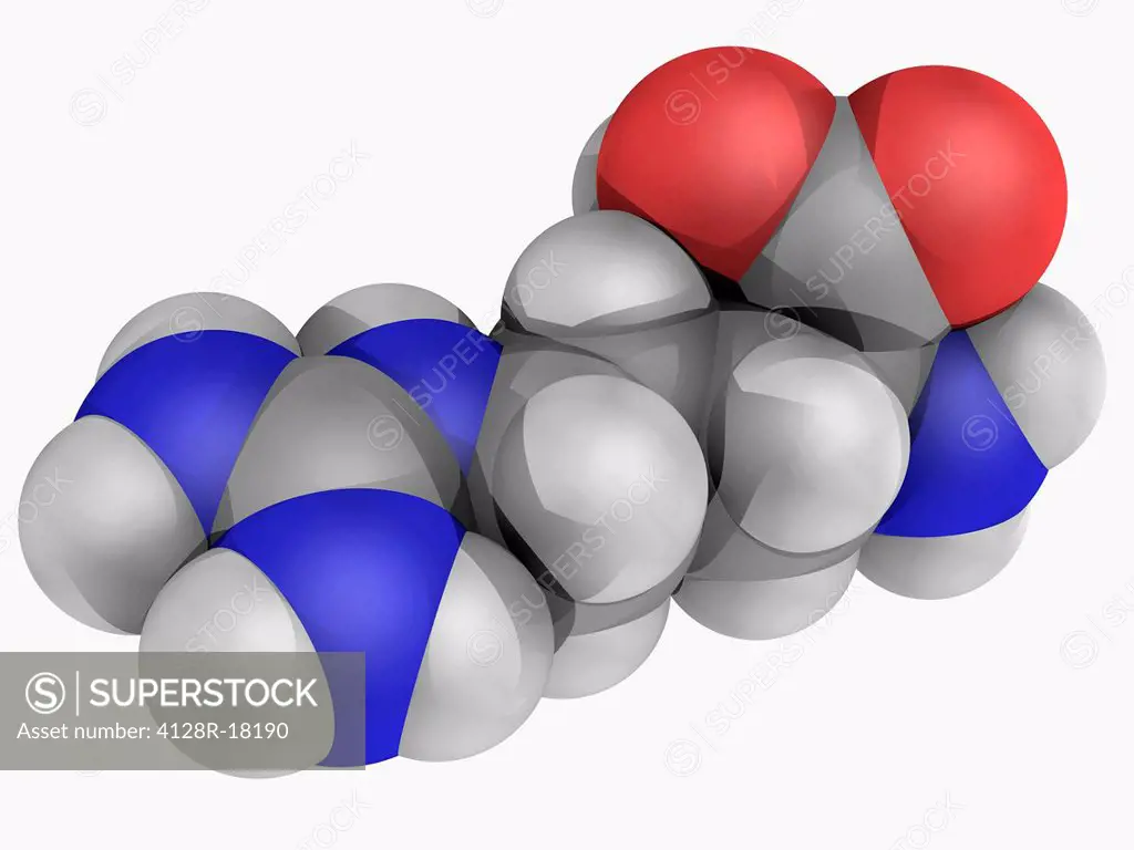 Arginine, molecular model. Nonessential alpha_amino acid found in a variety of foods. Atoms are represented as spheres and are colour_coded: carbon gr...