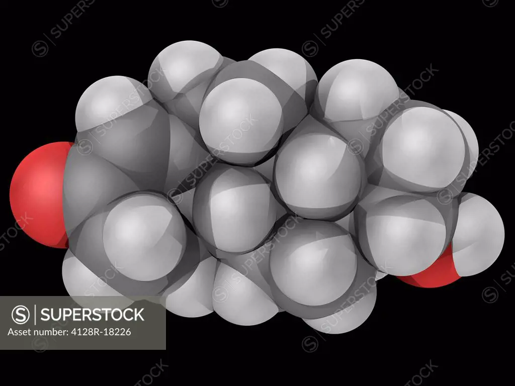 Nandrolone, molecular model. Anabolic steroid used to increase muscle growth, stimulate appetite and increase red blood cell production. Atoms are rep...
