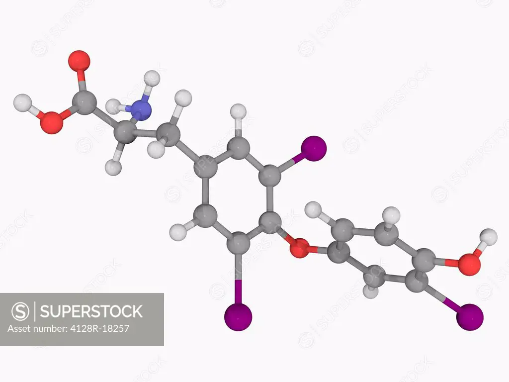 Liothyronine, molecular model. Thyroid hormone used to treat hypothyroidism and myxedema coma. Atoms are represented as spheres and are colour_coded: ...