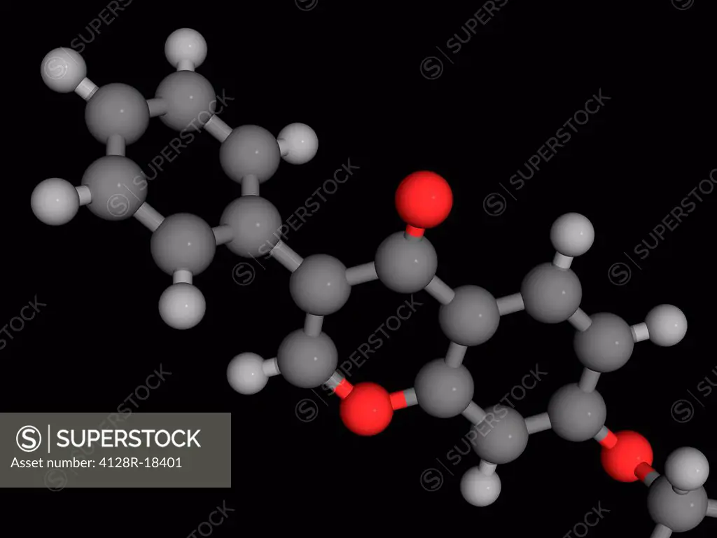 Molecular model. Part of an ipriflavone molecule.