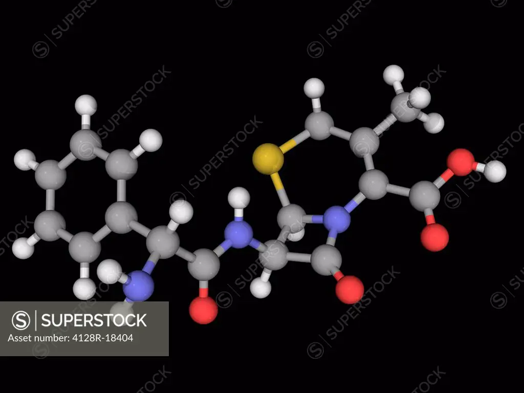 Cephalexin, molecular model. First_generation cephalosporin antibiotic. Atoms are represented as spheres and are colour_coded: carbon grey, hydrogen w...