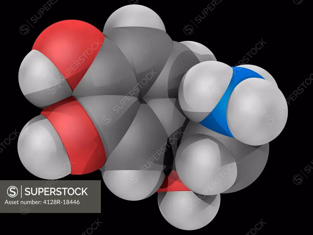 Norepinephrine, molecular model. Catecholamine acting also as a hormone and a neurotransmitter. Atoms are represented as spheres and are colour_coded:...