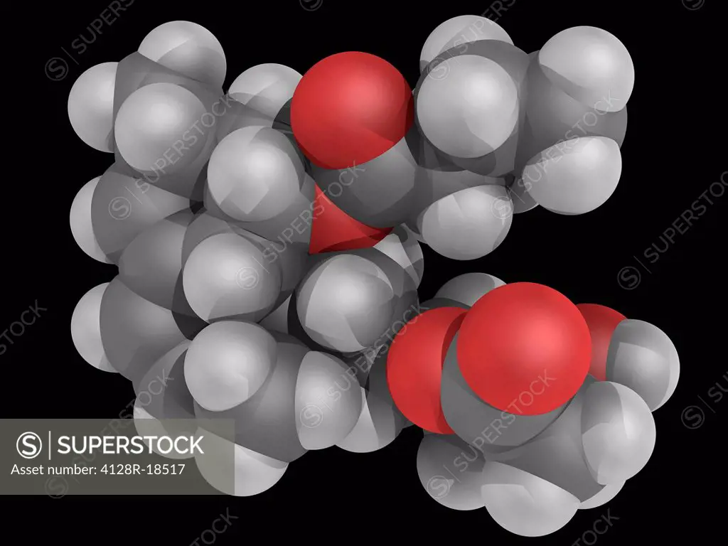 Lovastatin, molecular model. Drug used for treating dyslipidemia and for prevention of cardiovascular disease. Atoms are represented as spheres and ar...