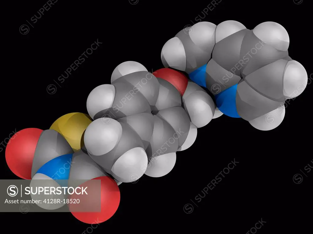 Rosiglitazone, molecular model. Thiazolidinedione class antidiabetic drug used as an insulin sensitizer. Atoms are represented as spheres and are colo...