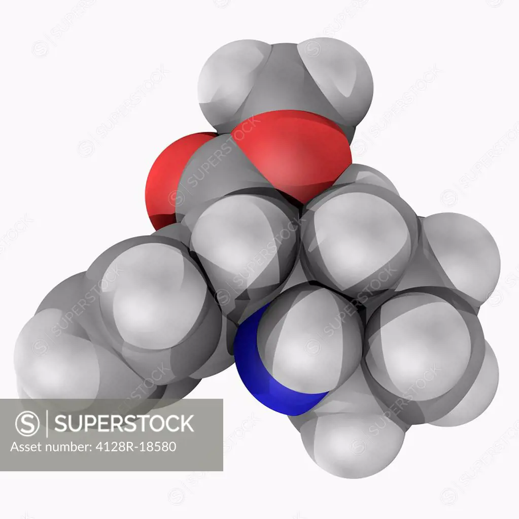 Methylphenidate, molecular model. Psychostimulant drug approved for treatment of ADHD, postural orthostatic tachycardia syndrome and narcolepsy. Atoms...