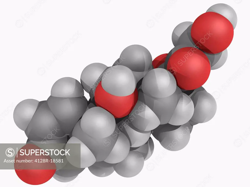 Methylprednisolone, molecular model. Synthetic glucocorticoid drug used to treat inflammations. Atoms are represented as spheres and are colour_coded:...
