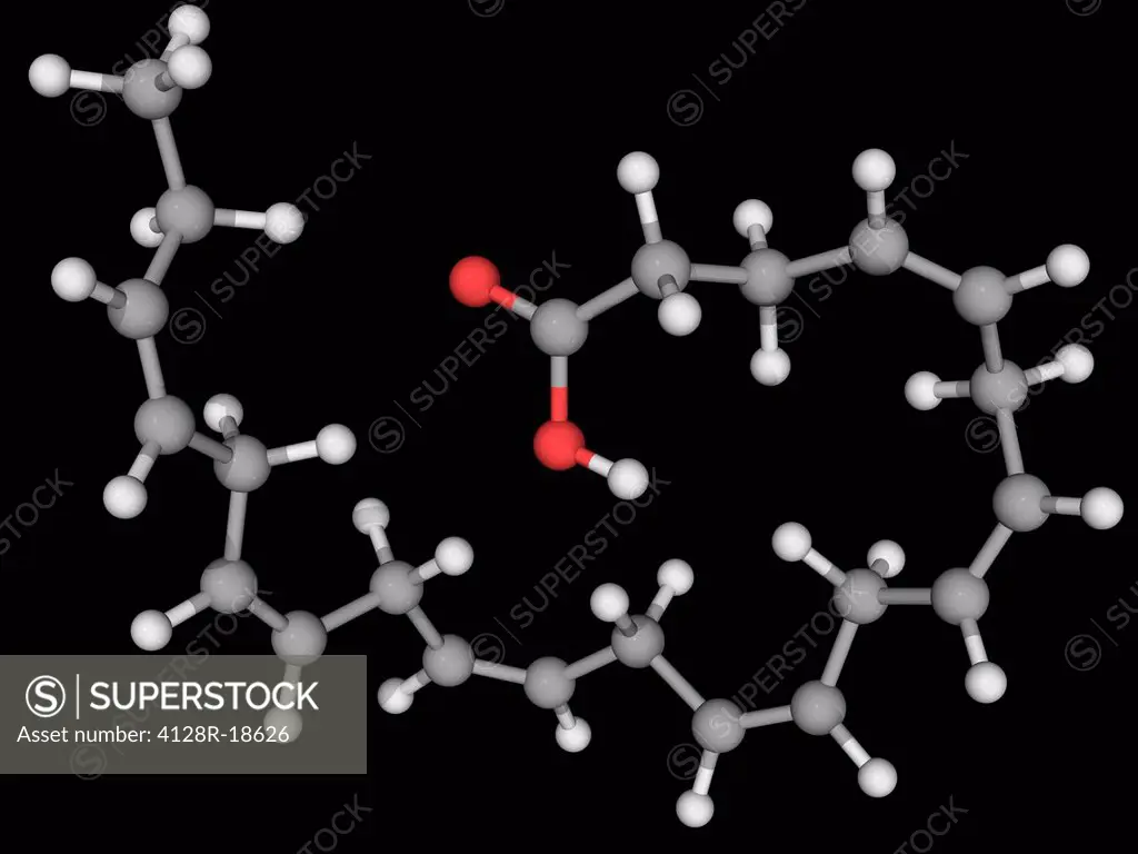 Docosahexaeonic acid, molecular model. Omega_3 fatty acid, a main component of the human brain and retina. Atoms are represented as spheres and are co...