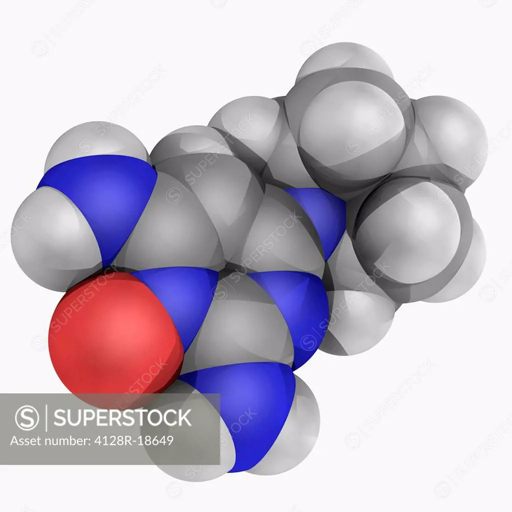 Minoxidil, molecular model. Antihypertensive vasodilator drug used to treat hair loss and to promote hair regrowth. Atoms are represented as spheres a...